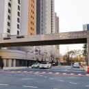 복수서로 이미지