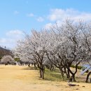 낙동강변19 이미지