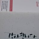 빛을 싸 받다 이미지