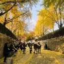 BUBBLE MAX 이미지