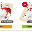 이음재활운동센터