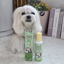 해성동물병원 | 강아지 미스트, 펫생각 냄새제거와 보습제 효과 한번에!