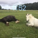 뺑이식당 이미지