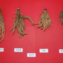 정영식품 이미지