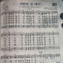 사론의 꽃