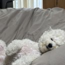 동광로3길 103 이미지