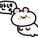 비피엠오브서울