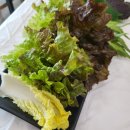 금강우렁쌈밥 이미지