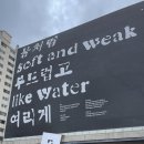 신명1983 | [어제 본 전시] 제14회 광주 비엔날레 주 전시, &lt;물처럼 부드럽고 여리게&gt;, 광주 비엔날레 전시관