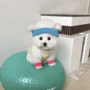 연원삼성쉐르빌(아) | 목동역필라테스 올바른재활필라테스 체형교정 제대로 받아본 후기