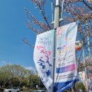 GS25신평점 | 녹지공원 벚꽃 구경 / 커피베이진주 신평공원점 / 모닝글로리 들말점 / GS25 진주 신평공원점 방문 후기!!