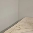 정아애견 이미지