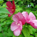 인천적십자병원 이미지