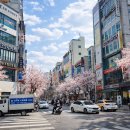 대전상가시장 이미지