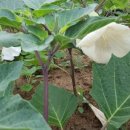 서호농장 이미지