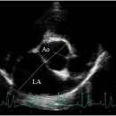인천동물심장내과 이미지