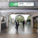 꽃 보러 떠나는 세계여행(2) 이미지