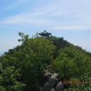 소야도 솔향기