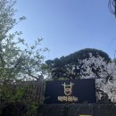 강남역 고기집 추천 백억하누 강남에서 보기 드문 정원에서 1++한우 차돌박이까지