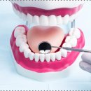 잇플란트치과의원 이미지