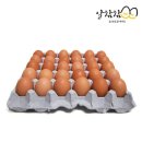 알 - 제주시 서광로14길 5 | 알