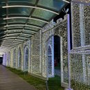 드래곤무인호텔 1 이미지