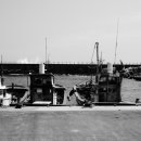 쌍령동-5 이미지