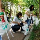 파라다이스 이미지