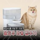 플로우케어 | 고양이 정수기 리얼 사용 후기, 필터 없는 펫케어 플로우 자동 급수기