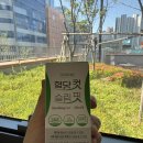 슬림핏 점핑 다이어트 | 혈당다이어트, 라시뎀 혈당 컷 슬림 핏 구매 후기