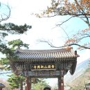공능 Daum카페