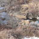 아름다운밀양농장 이미지