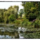 모네정원 이미지