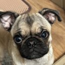 SK보령충전소 | 휴일이 많아서 버틸 수 있었던, 10월 첫주