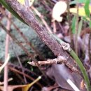 새덕목장 이미지