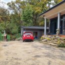 원평금수사석조아미타불및좌대 이미지