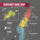 황금의 언덕 부르고뉴 와인 이미지