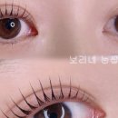 눈썹가게 - 전주시 덕진구 | 눈썹가게