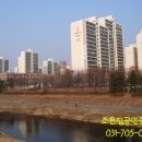 쌍용탑공인중개사사무소 이미지