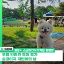 개린이날 | 포항 반려견 축제 후기, 숲강아지 개린이의 날