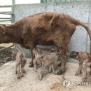 겨울 왕국 - 오늘의 포토소식 이미지