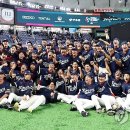 마이애미 이미지