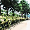 공주-57 이미지