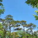 중앙동132 이미지