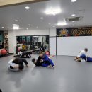 클라우스 복싱 이미지