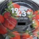 초롱큰나무학원