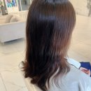 예향미용실 | 봄맞이 성복역 미용실 타마시헤어 오아주클리닉