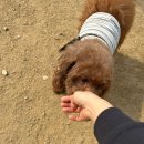 낙성대 공원 이미지