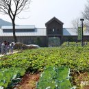 대지축산농원 이미지