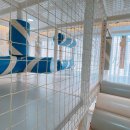 뜨레놀레 키즈풀빌라 | 뜨레놀레 키즈풀빌라 여수시분위기좋은펜션 아이도 어른도 모두 만족했던 곳이요